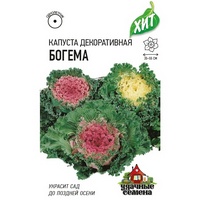 A289071 articul-A289071