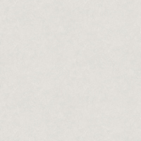 articul-A310555