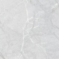 articul-A317084