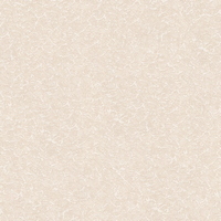 A319293 articul-A319293