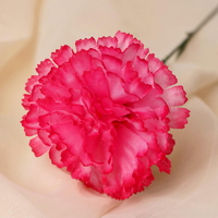 articul-A344167-2