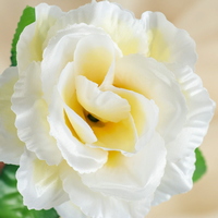 articul-A344168-3