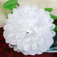 articul-A344173-2
