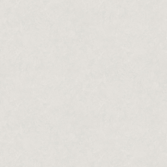 articul-A310555