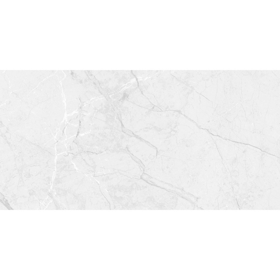 articul-A317073