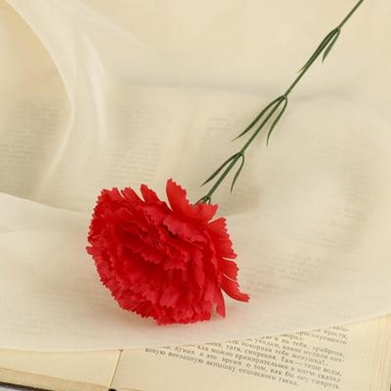 articul-A57546