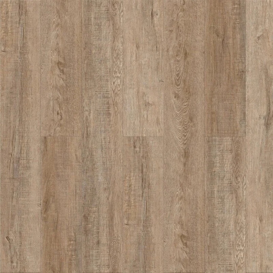 articul-A57619